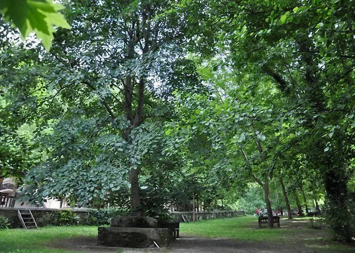 Bogazici Butik & Restaurant 3*