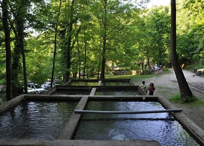 Bogazici Butik & Restaurant מלון