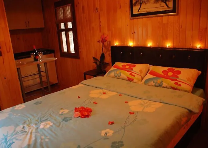 מלון Bogazici Butik & Restaurant 3*